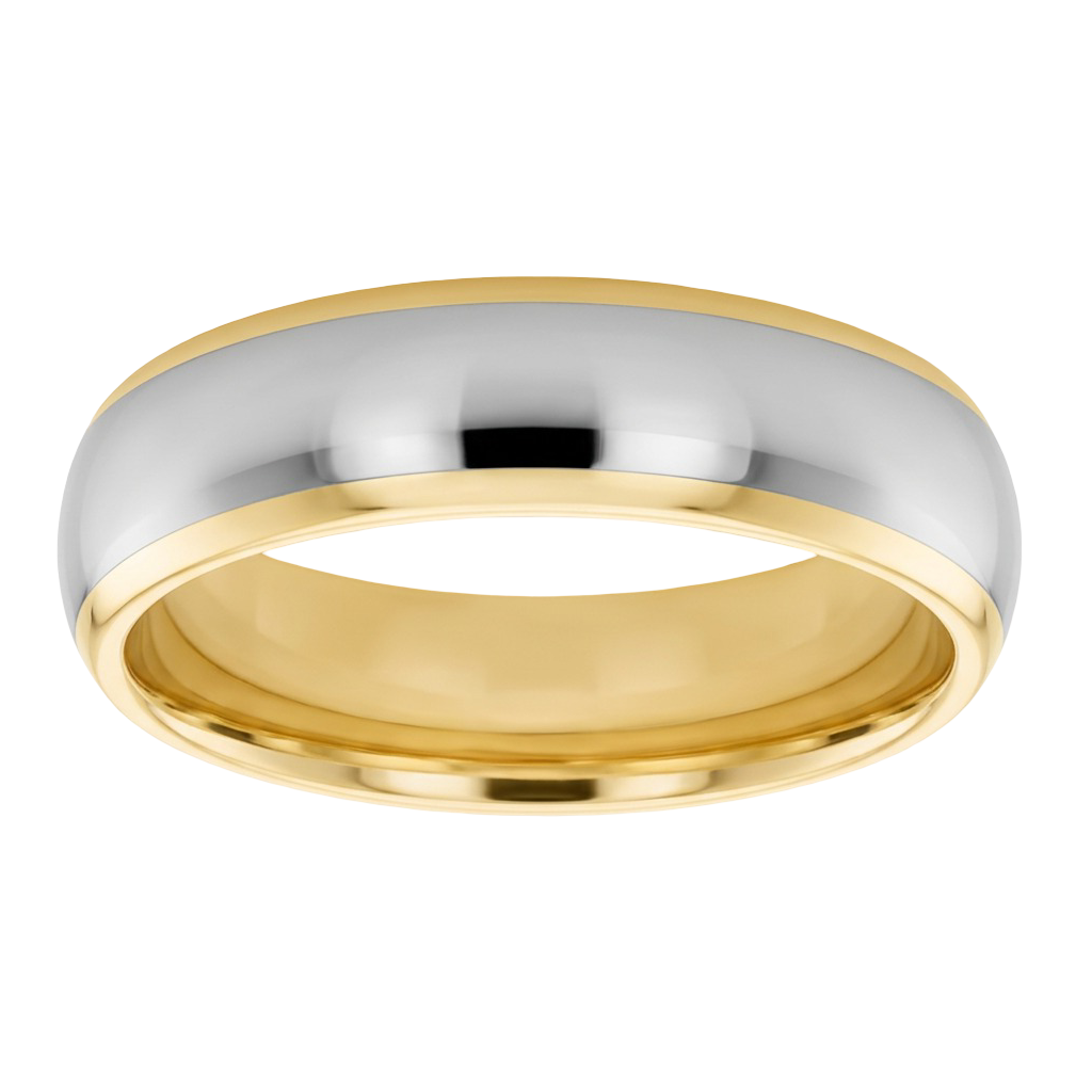 Mens Titanium and Gold - TI2680